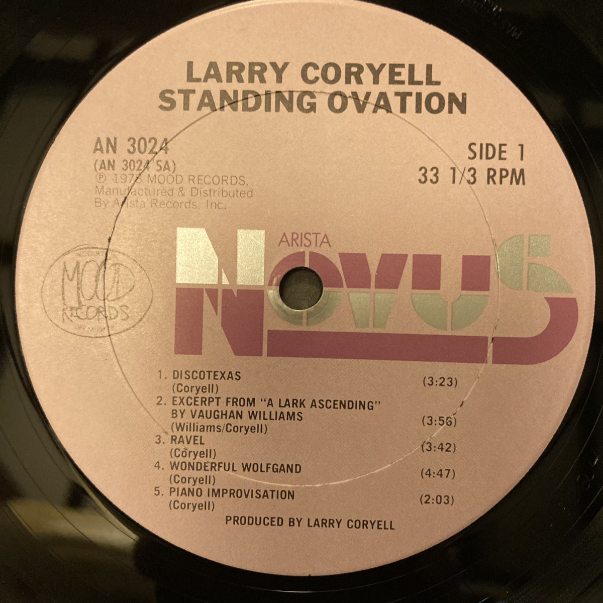 Standing Ovation - Solo / Larry Coryell - 画像 (4)
