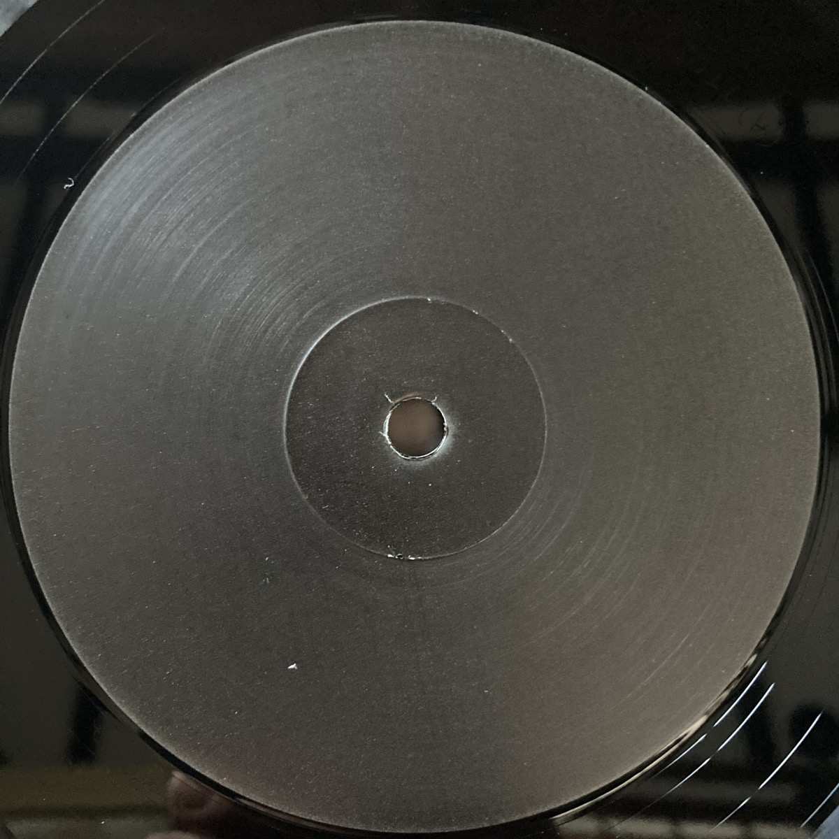 The Twelve Secret Hometape Sessions / No Honey From These - 画像 (2)