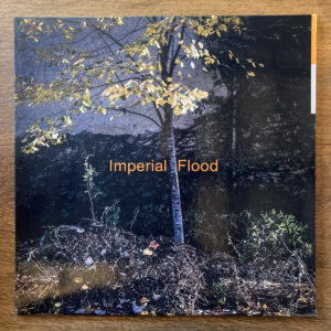 Imperial Flood / Logos